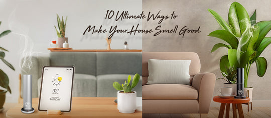 Make Your House Smell Good